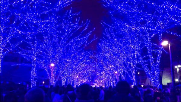 rblog-20181222225825-02.jpg