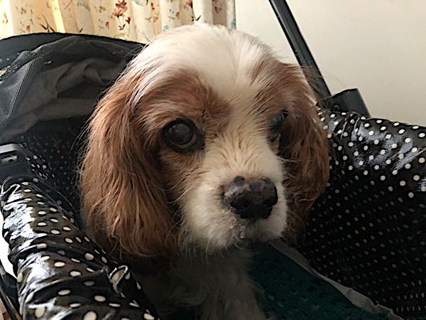 rblog-20180213090643-01.jpg