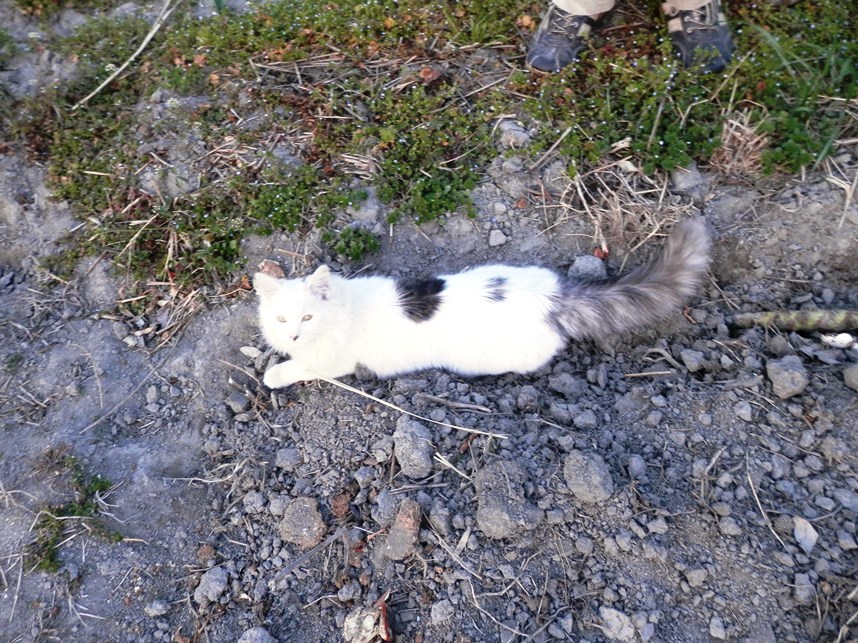 P3290042てんてん２０１４－３.jpg
