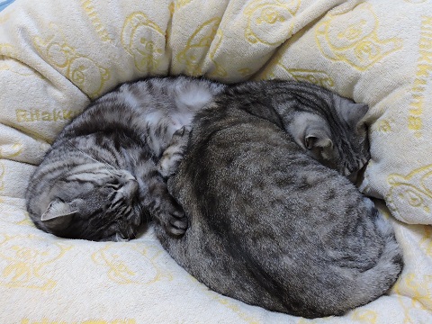 DSCN1223.JPG