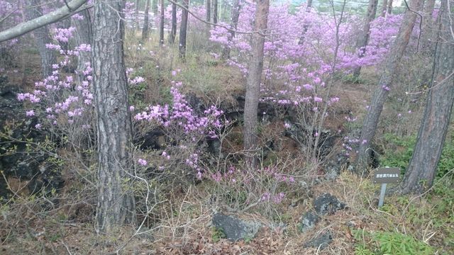 2015-04-25 13.45.49.jpg