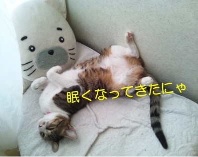 20120906_5.jpg