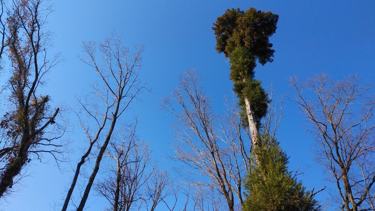 歌詞が泣ける マリィ ラム ナナ ルナの日記 楽天ブログ