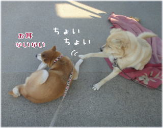 0127朝7.jpg