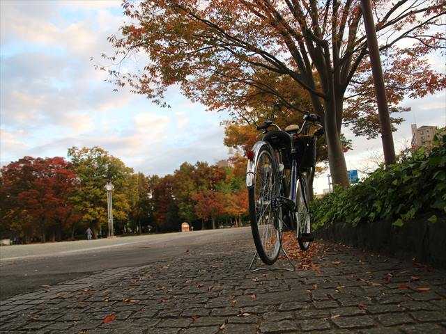 茅ヶ崎 自転車