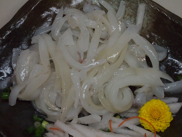 P1260051.jpg