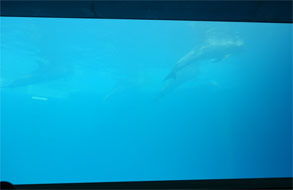 九州739.jpg