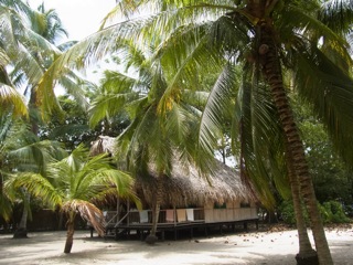 RIMG0202.jpg