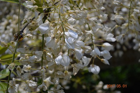 DSC_0124.jpg