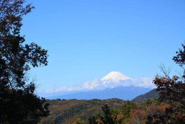 修善寺自然公園