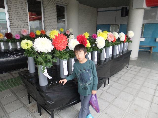 Dscf2463.jpg