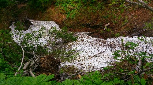 s-20140619大東岳残雪.jpg