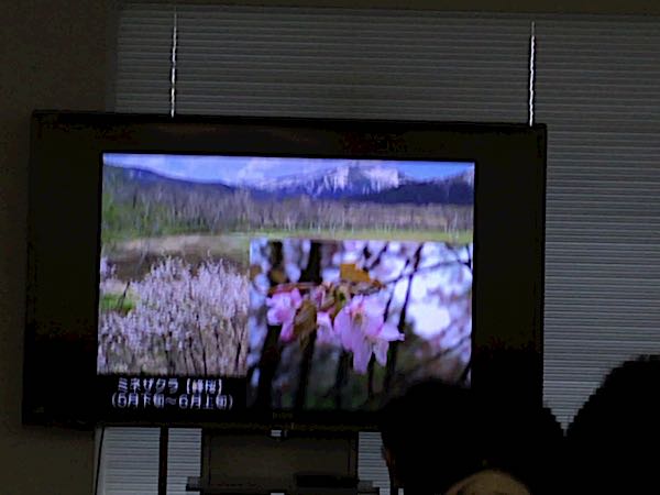rblog-20170326135921-03.jpg