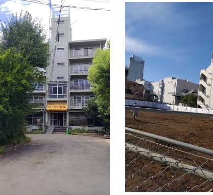 二子玉川「テクテク日記」 86 時の移ろい＝減少する緑環境 | ¡HO・LA！ 「二子玉川」地区 - 楽天ブログ