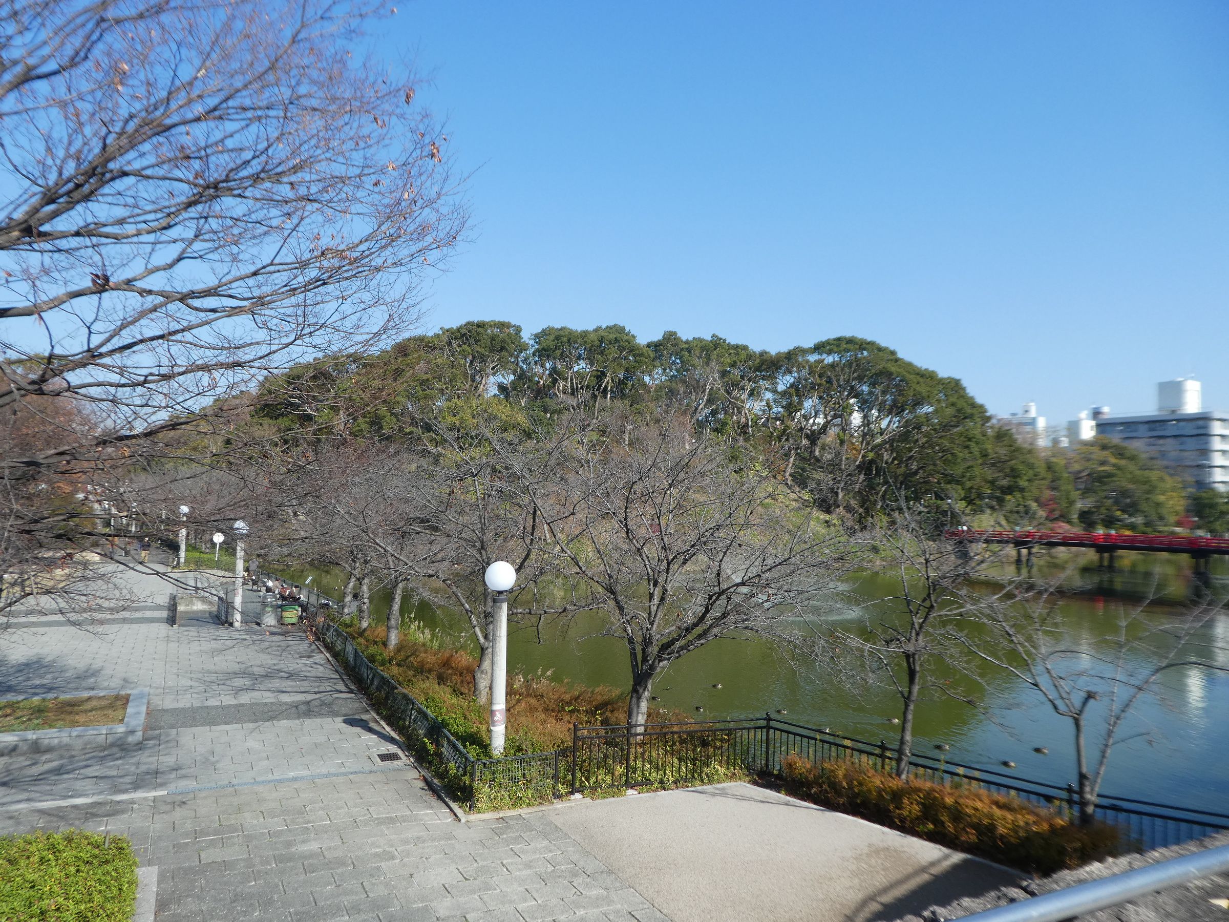 12/21 四天王寺～大阪市立美術館～太閤園～造幣博物館（その2 大阪市立 