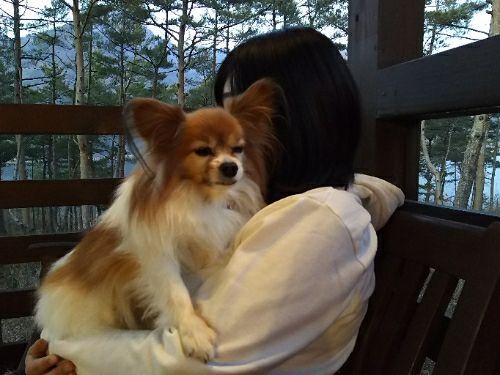 rblog-20180122180656-01.jpg