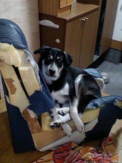 PA0_0030.JPG