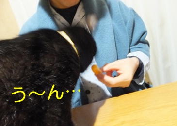 20121104_6.jpg