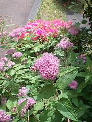 conv0687.JPG
