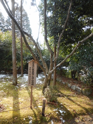 京都　曼殊院