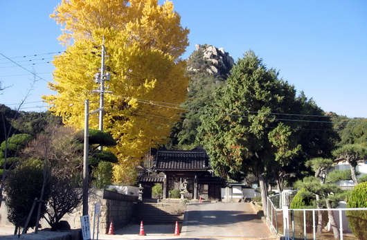 天徳寺(06).jpg