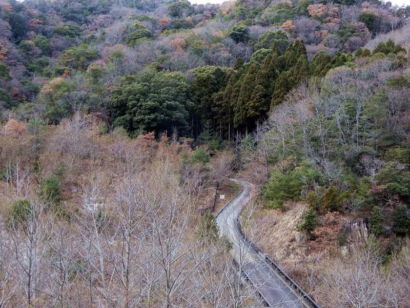 冬枯れの山