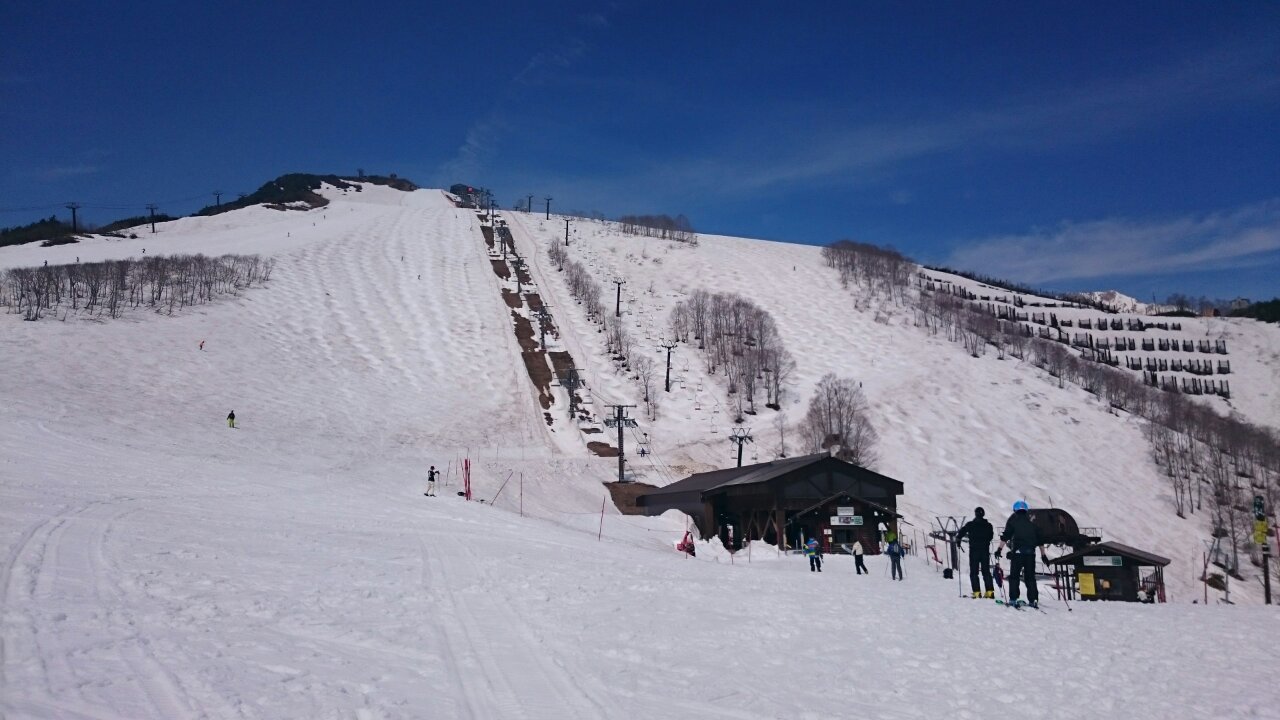 20150430094543_p.jpeg