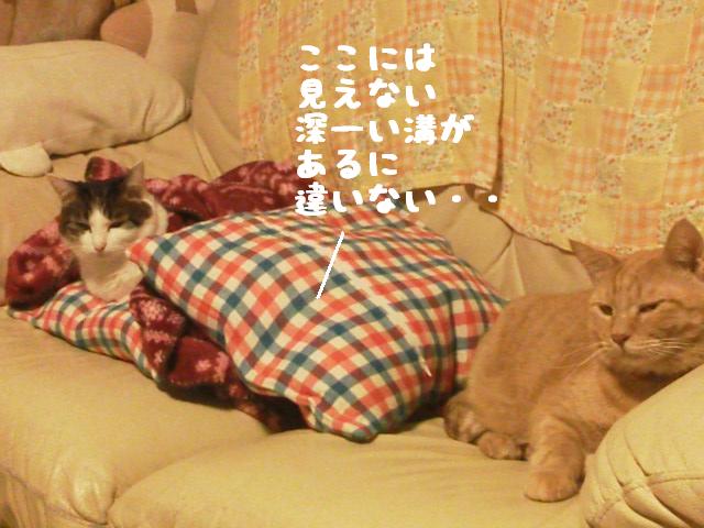 溝