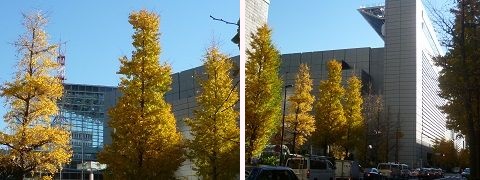 国際フォーラム画像1.jpg