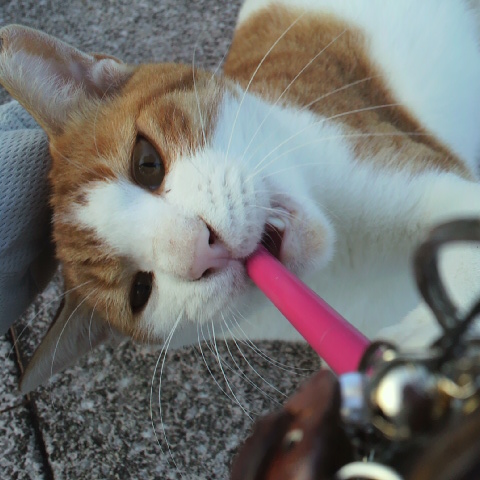 2013092417150000.jpg