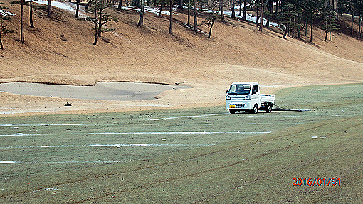 P1312487h2.jpg