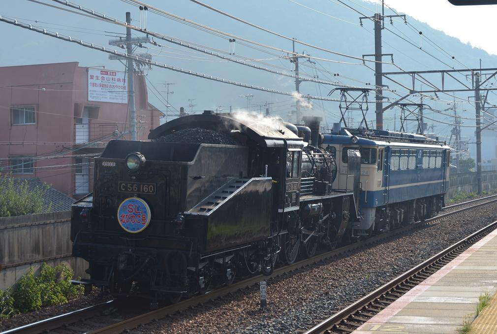 DSC_5529.JPG