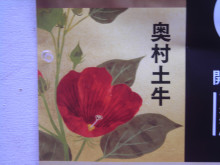 奥村