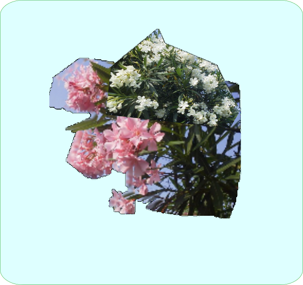 rect4136.png