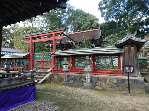 rblog-20180120001309-02.jpg