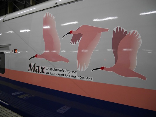 0824g-max