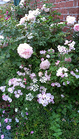 rblog-20130604213308-04.png