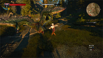 w25.jpg
