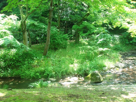 三溪園の蛍鑑賞地