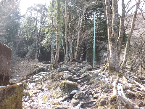 038m.jpg