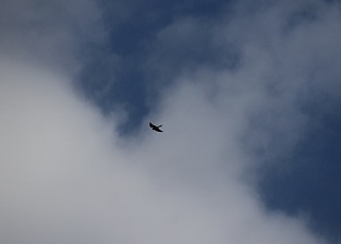 E7D_9969-2-2.jpg