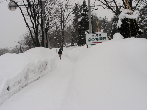 2016-02-25hodou.JPG