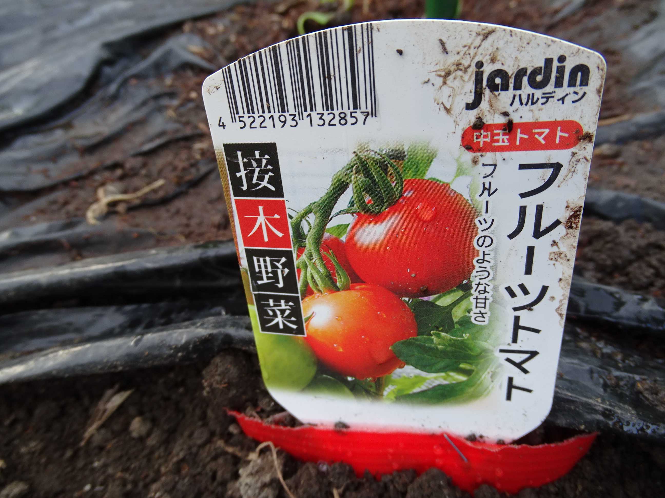 トマトの苗植えをした 21 4 24 隊長さんの山ある記 楽天ブログ