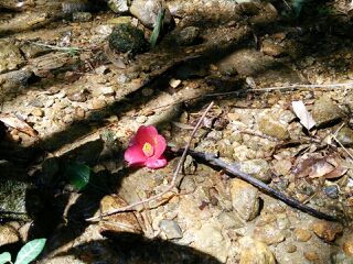 rblog-20140324231701-02.jpg
