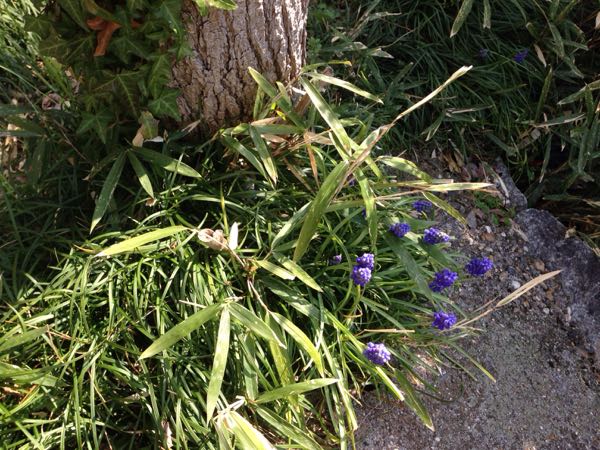rblog-20160406222111-05.jpg