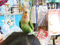 conv0402.JPG