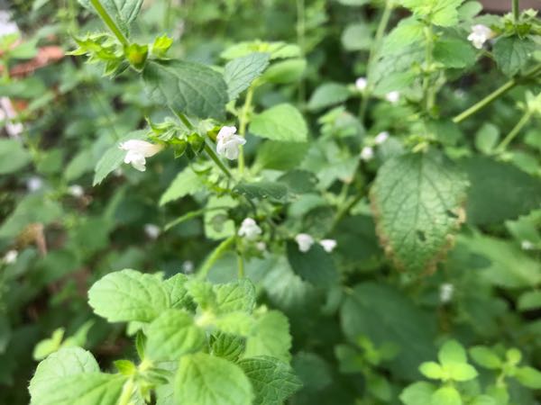 rblog-20180628172147-09.jpg