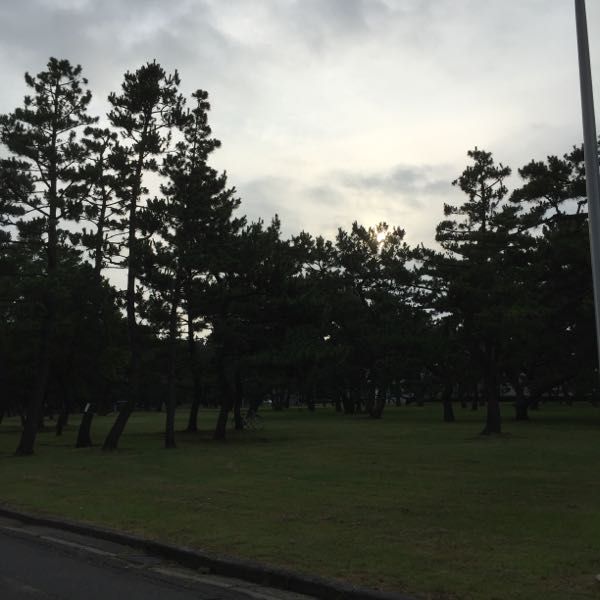 rblog-20160710085522-02.jpg
