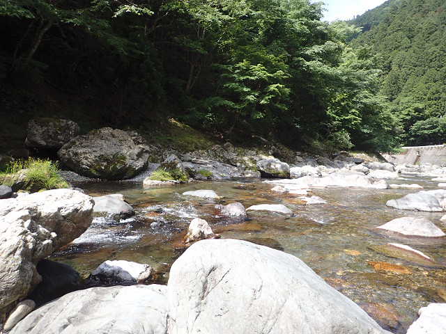 resize0019.jpg