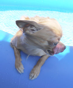 20120826ゴールドa